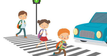 Neurociência No Dia a Dia: A Ciência Por Trás de Escolha Simples