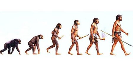 A Relação Entre Psicologia Evolutiva e Comportamento Animal